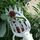 Prugna Data Albicocca Pick Fruit Plastic Tool (bianco)