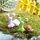 4 PC in miniatura statue Lumaca decorato Giardino del giocattolo decorazioni, colore casuale di consegna