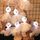 Luci a corda fantasma in tessuto di Halloween a LED, spaventose, per festival di fantasmi, decorazione per interni, lampada ambientale, colore: 1,5 m, 10 luci, bianco