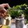 Vintage Brass Gardening Meaty Piccolo annaffiatoio Can