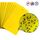 10 confezioni Bordo per insetti biadesivo Pannello giallo Melone Fruit Fly Trap Board