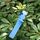 100 pezzi Giardinaggio Pianta Pianta SEME SEME APPENDE Etichetta ad albero (blu) 100 pezzi Giardinaggio Pianta Pianta SEME SEME APPENDE Etichetta ad albero (blu)