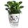 2 PZ Pentole idroponiche completamente trasparenti Pentole idroponiche Livello d'acqua Visibile Colla non rotta Pentole di plastica autoassorbente Pentole di plastica, Dimensioni: W03 calibro 11 cm (modello di zebra trasparente completo)
