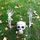 Simulazione di Halloween Simulazione Mano e Gamba Decorazione Horror Props Hand Bone Skull