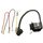 Bobina di accensione ad alta pressione per motosega per STIHL MS210 230 250 025 Bobina di accensione ad alta pressione per motosega per STIHL MS210 230 250 025