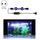 Q20BW Luce blu + bianca 90-260 V Luce subacquea per acquario LED Luce per acquario (spina UE) Q20BW Luce blu + bianca 90-260 V Luce subacquea per acquario LED Luce per acquario (spina UE)