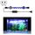 Q30BW Luce blu + bianca 90-260 V Luce subacquea per acquario LED Luce per acquario (spina USA) Q30BW Luce blu + bianca 90-260 V Luce subacquea per acquario LED Luce per acquario (spina USA)