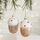 2 pezzi Decorazione Natalizia Albero di Natale Ciondolo Ornamento Appeso, Stile: Nocciola 2 pezzi Decorazione Natalizia Albero di Natale Ciondolo Ornamento Appeso, Stile: Nocciola