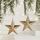 2 pezzi Decorazione Natalizia Albero di Natale Ciondolo Appeso Ornamento, Stile: Pentagramma