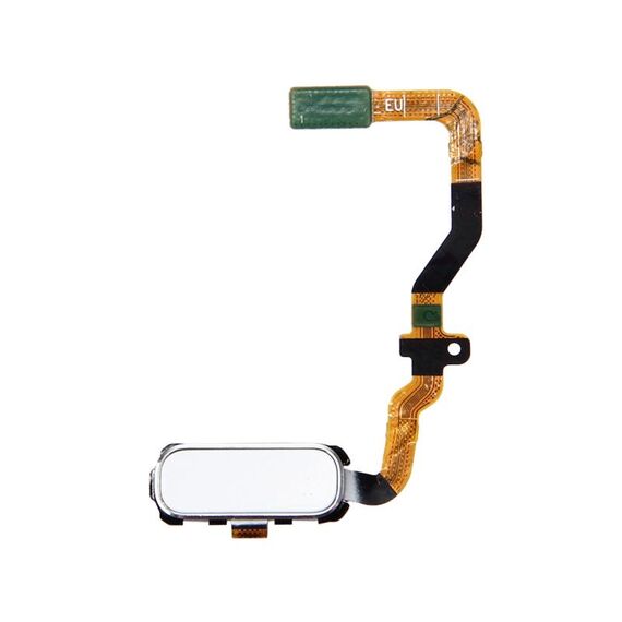 Cavo flessibile per pulsante Home Galaxy S7 / G930 (bianco)
