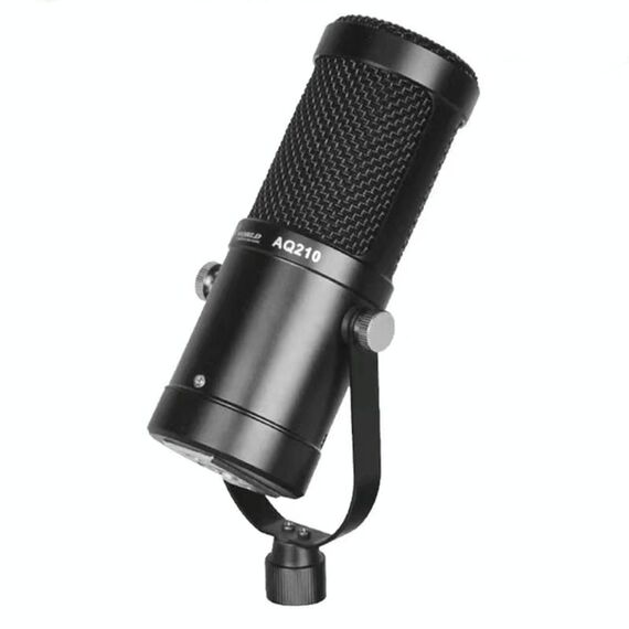 Microfono condensatore per registrazione live AQ-210 K Song