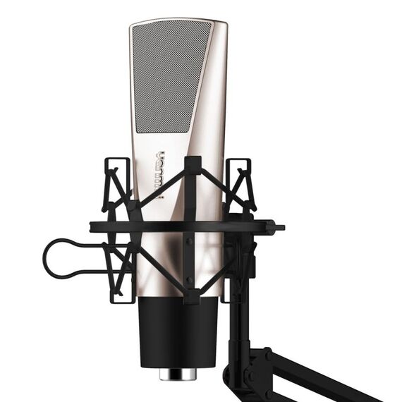 Microfono professionale per registrazione audio a condensatore per giochi Yanmai Q6, compatibile con PC e Mac per spettacoli dal vivo, KTV, ecc. (Nero)