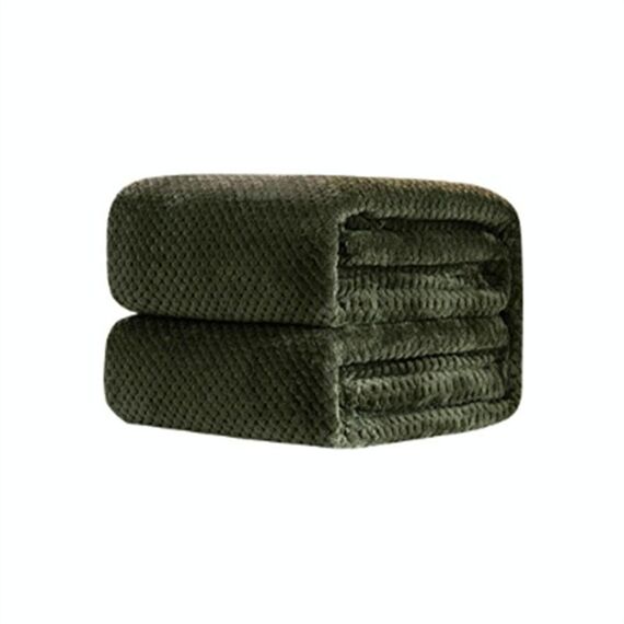 Coperta di flanella di ananas a rete tinta unita addensata Coperta di flanella in pile di corallo Aria condizionata Copridivano Lenzuola calde invernali Coperte di pelliccia sintetica di facile lavaggio, Dimensioni: 200x230cm (Verde militare)
