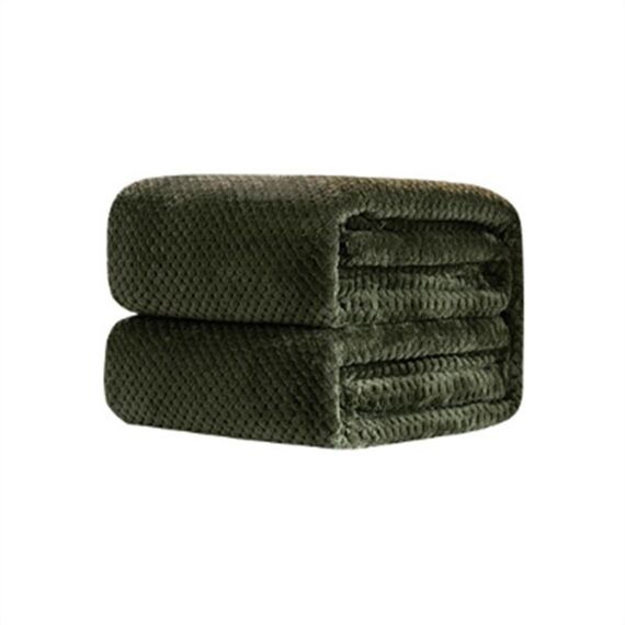 Coperta di flanella di ananas a rete tinta unita addensata Coperta di flanella in pile di corallo Aria condizionata Copridivano Lenzuola calde invernali Coperte di pelliccia sintetica facili da lavare, Dimensioni: 70x100cm (Verde militare)