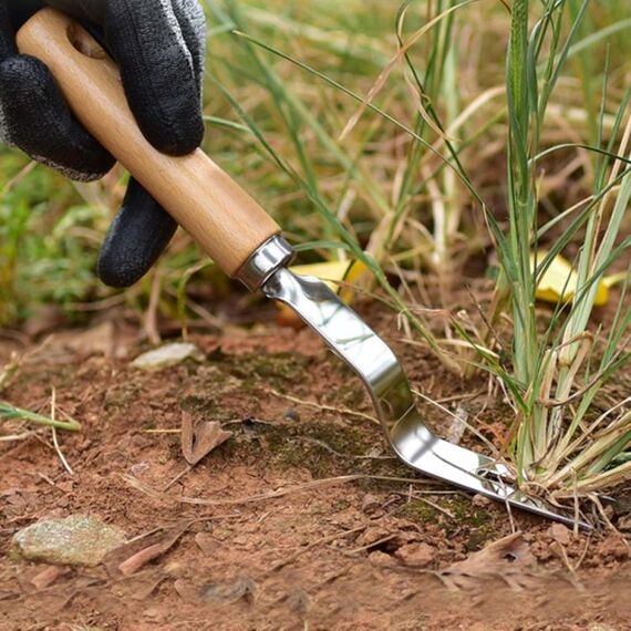 Di spessore in acciaio inox Weeder maniglia di legno Root Picking Strumento