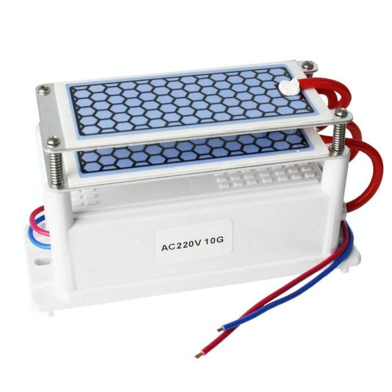 Generatore di ozono in ceramica portatile Purificatore d'aria a due fogli Sterilizzante purificatore di ossigeno attivo (220V 10G)
