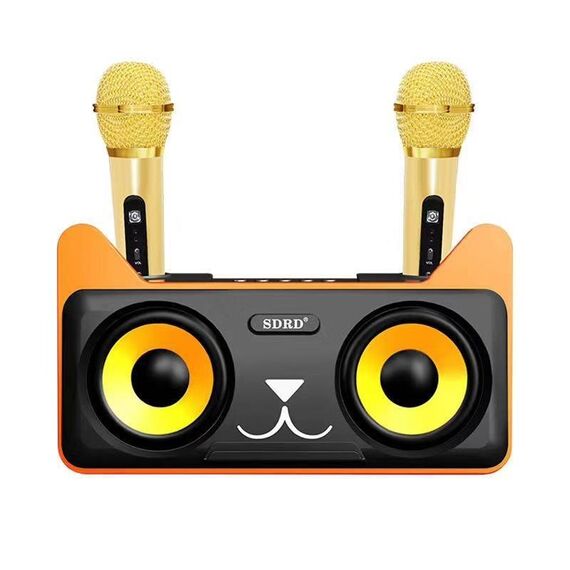 SDRD SD-305 Famiglia 2 in 1 KTV Microfono live wireless portatile doppio + altoparlante Bluetooth (nero)