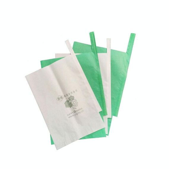 Borsa protettiva per frutta, sacchetto di carta, sacchetto di imballaggio per uva impermeabile da 100 pezzi, specificazione: 28x36