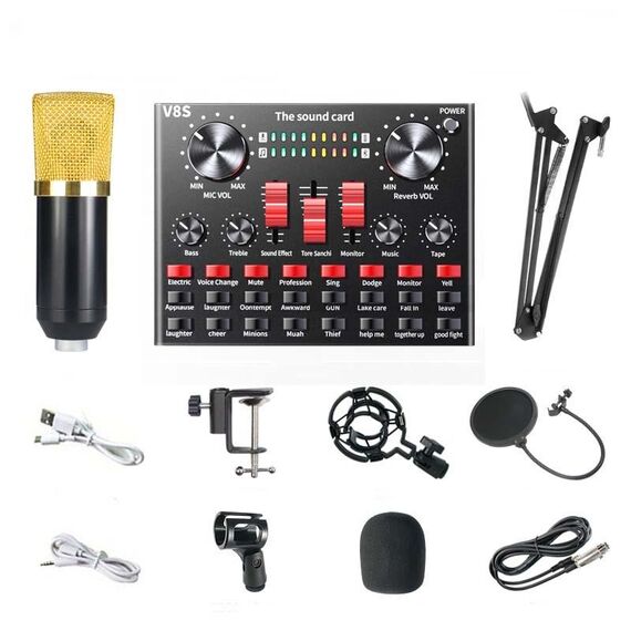 V8S Scheda audio Telefono cellulare Computer Anchor Live K Microfono per la registrazione di brani, Specifica: V8S + Set Golden Net BM700