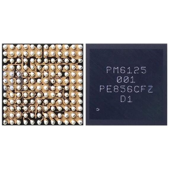 Modulo di potenza IC PM6125 001
