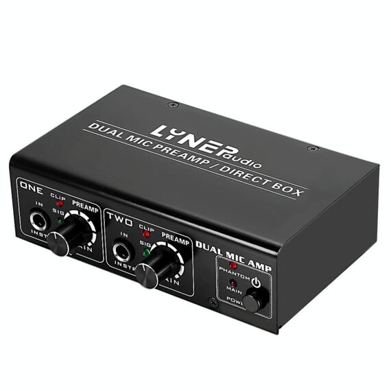 LINEPAUDIO A961 Amplificatore per microfono a 2 canali Amplificatore per basso elettrico per chitarra elettrica (nero)