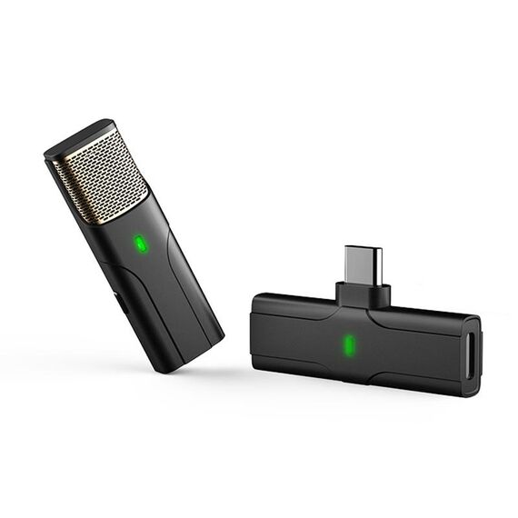 DS01 Outdoor Live Collar Collar Collar Intervista Registrazione Riduzione del rumore Microfono wireless, Specifica: Type-C / USB-C (nero)