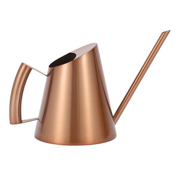 Annaffiatoio con beccuccio lungo in acciaio inossidabile per giardinaggio domestico, dimensioni: 400 ml (bronzo)