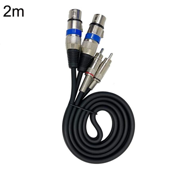2RCA maschio 2XLR Caron femmina altoparlante cavo di bilanciamento audio, lunghezza: 2 m