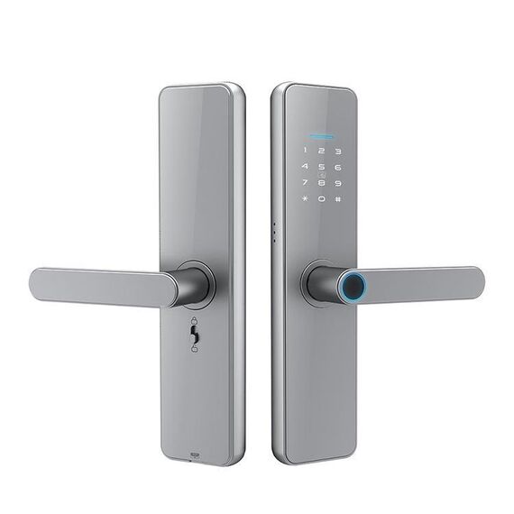 C91 Tuya Smart WiFi Password Impronta digitale Serratura elettronica (Argento)