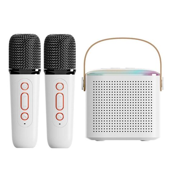 Altoparlante Bluetooth portatile per la casa Piccolo audio karaoke da esterno, Colore: Y1 Bianco (doppio grano)