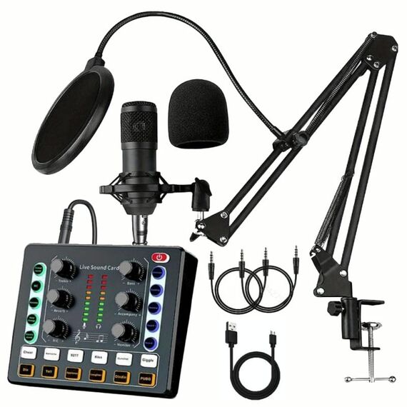M8 Registrazione e canto Live Bluetooth Scheda audio Set, Colore: Nero + Nero Cantilever