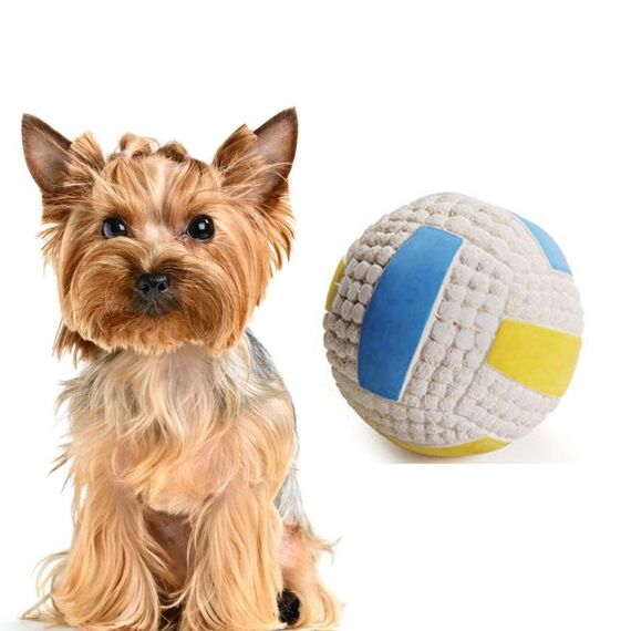 Giocattolo del cane del cane del cane del cane del cane Giocattoli per animali domestici, Specifiche: Grande pallavolo