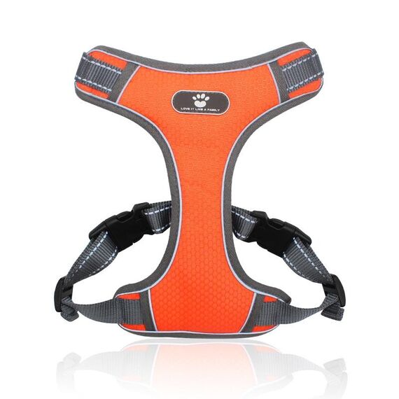 BL-852 Pet TRACTION RACCELLA RACCELLA RUOVABILE CINTURA CANCELLA TRAFFICA XL (arancione)