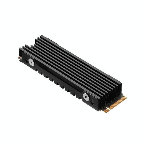 Dissipatore di calore in alluminio per radiatore SSD NVME M.2 2280 FinalCool per PC desktop PS5 (nero)