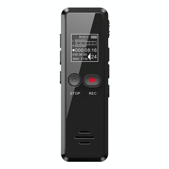 16 GB Schermo LCD da 0,9 pollici Intervista Mini HD Registratore USB Lettore MP3 di ricarica