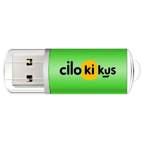 Unità flash USB 2.0 in metallo colorato Stampa su richiesta, memoria: 8 GB (verde)