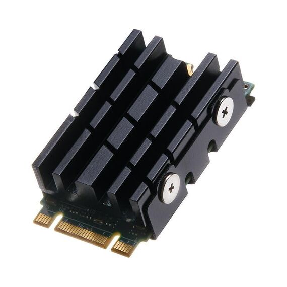 Dissipatore di calore per unità a stato solido SSD M.2 2242 FinalCool Radiatore in alluminio (nero)
