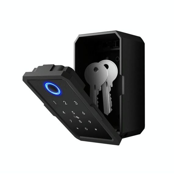 La scatola portachiavi Bluetooth intelligente Tuya App supporta lo sblocco tramite impronta digitale/APP/password/scheda IC