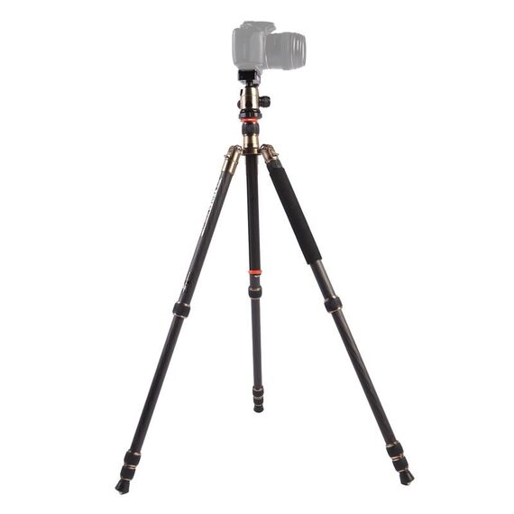 Triopo GT-2504X8.C Treppiede portatile regolabile in fibra di carbonio (oro) con testa a sfera in alluminio B-1 (nero) per fotocamera DSLR Canon Nikon Sony