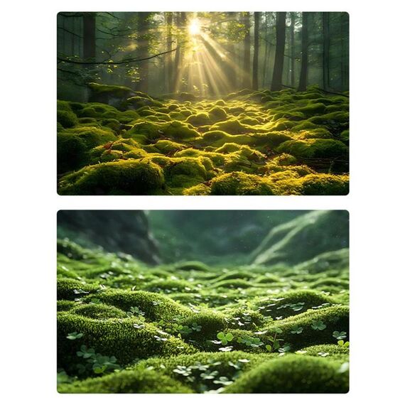 57 x 87 cm, carta da sfondo per fotografia foresta 3D bifacciale, accessori per fotografia (05)