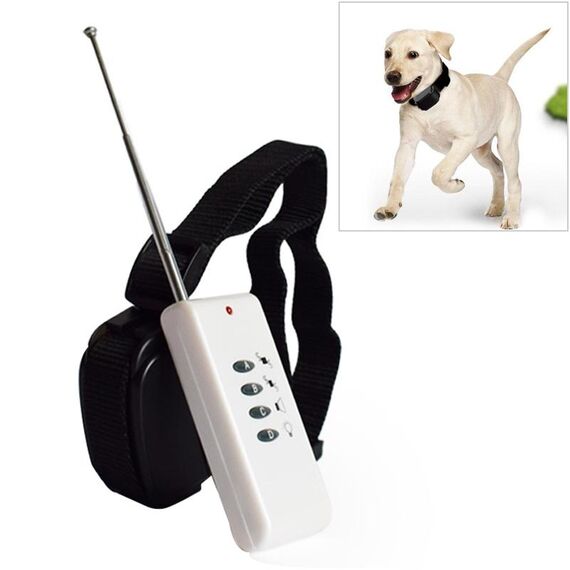 Addestramento con telecomando per cani elettrici (bianco)