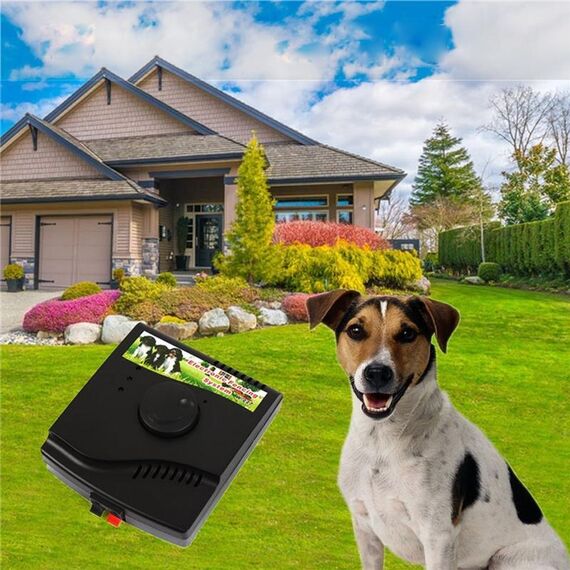 W-227 Sistema di collari elettrici per scherma per cani da compagnia