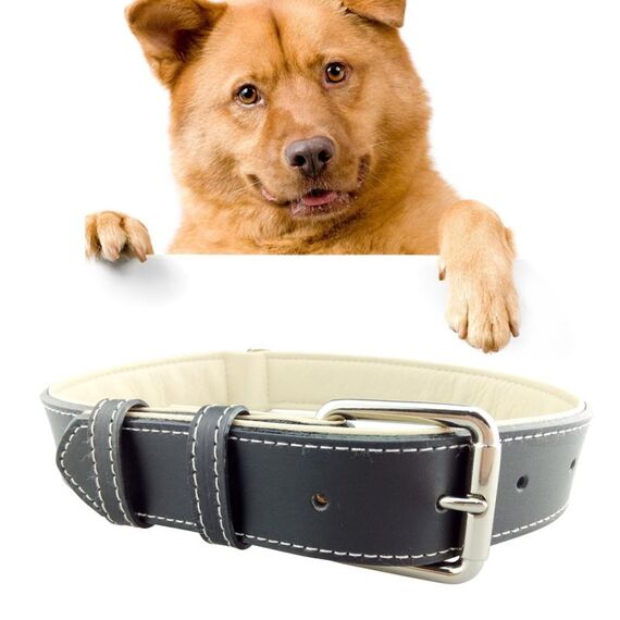 Collare per cani in pelle Prodotti per animali Collare per cani di grossa taglia, dimensioni: L, 2,5 * 51 cm (nero)