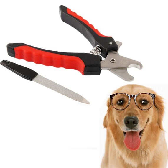 M208 grande cinghia professionale cinghia e set di file per animali domestici