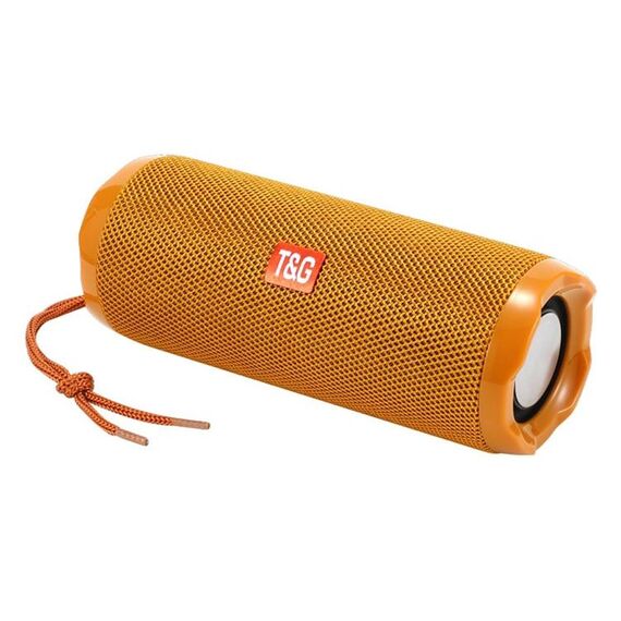 T&G TG191 Altoparlante Bluetooth impermeabile da 10 W Subwoofer stereo a doppio diaframma Audio portatile Radio FM (oro)