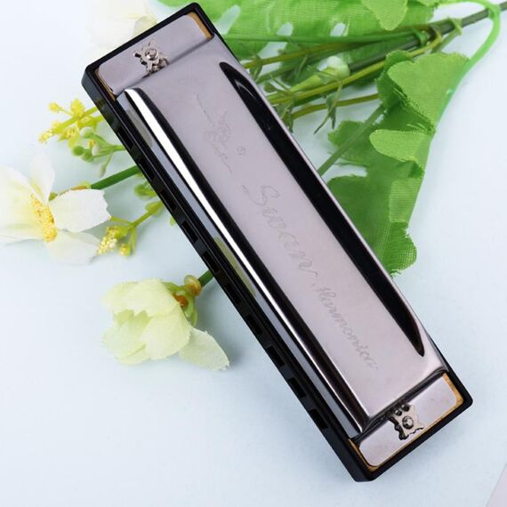 Swan 10 fori a grandezza naturale Bruce Harmonica Principianti Bambini Studenti adulti che suonano strumenti musicali