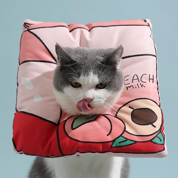Cat Elizabeth Collar Covere Cover antisettica Cover, dimensioni: S (Box Beverage)