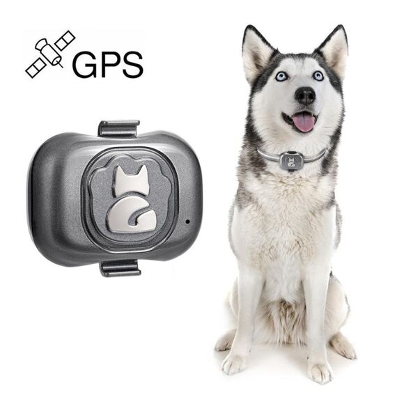 G16 Pets GPS Tracker IP67 Impermeabile Smart Collar Anti-perso Tracking per Cane Gatto