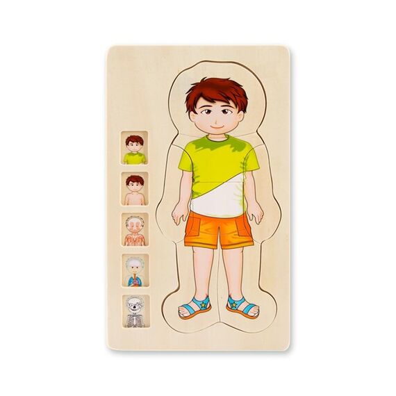 Onshine Puzzle a cinque strati della struttura del corpo umano Puzzle in legno per bambini Cognizione fisica (ragazzo)