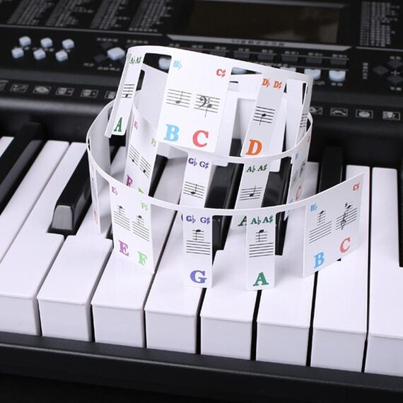 Adesivi colorati per tastiera per pianoforte per principianti per bambini Accessori per strumenti musicali, stile: tasti di pianoforte imitazione 61 tasti